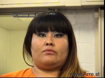 Rita Nicole Howlingcrane Mugshot